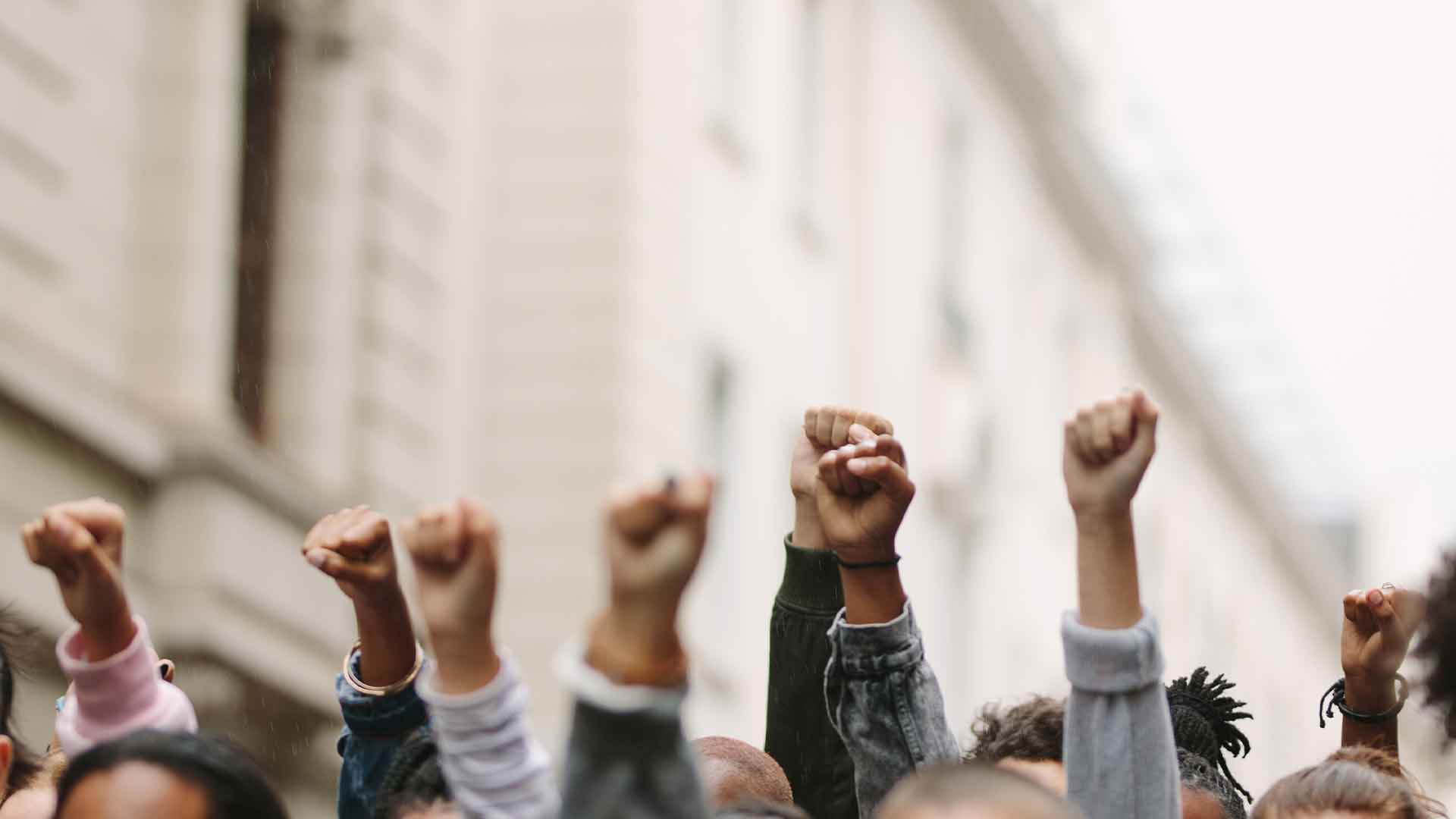 Democratic Campaign Software | NGP VAN