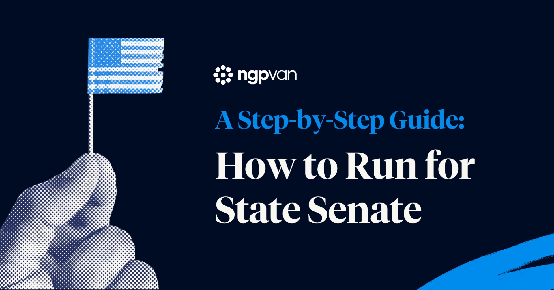 A step by step guide: How to run for state senate